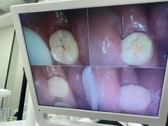 -牙博士口腔品牌连锁(杨浦店)