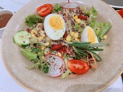 缤纷田园沙拉-西语·炭烧牛排(卓越中寰店)