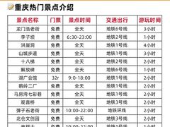 -龙湖重庆时代天街