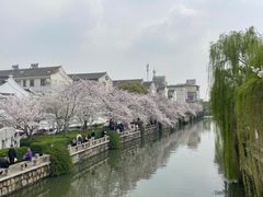 -常熟方塔园