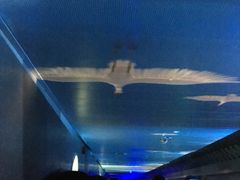 -白鹤梁水下博物馆