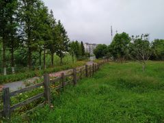-田园东方蜜桃村的田野营地