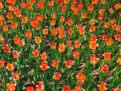 -长春公园(普阳街道)