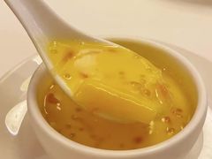-利苑酒家(合景国际金融广场店)