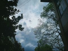 -洋湖国家湿地公园