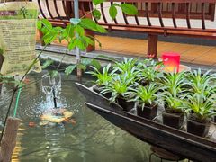 -小江南(老洋桥店)