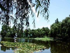 -三圣花乡旅游区