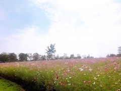 -歌斐颂巧克力小镇