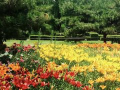 -长春公园(普阳街道)