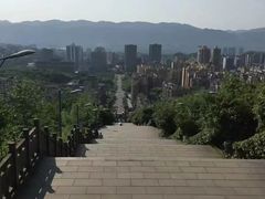 -铁山坪森林公园