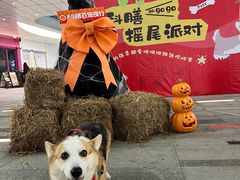 -SM城市广场(扬州店)
