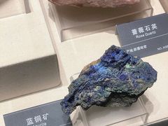 -安徽省地质博物馆