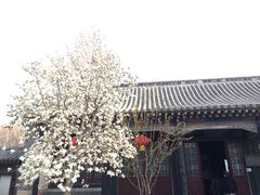 -戚继光故里