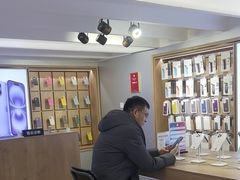 -苹果售后维修服务中心(东大直街总店)