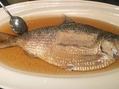 清蒸鲥鱼-福1039(愚园路店)