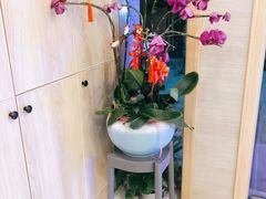 -麦悠悠·SPA·推拿(太阳山路店)