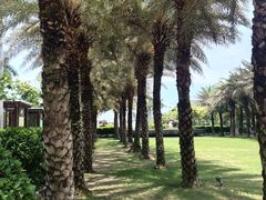 -三亚海棠湾万丽度假酒店