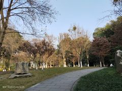 -青羊宫