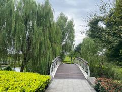 -西山漾湿地公园