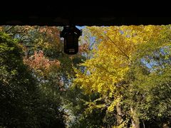 -南岳衡山风景名胜区-南岳大庙