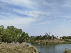 -贡湖湾湿地公园