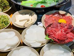 -阳阳老火锅(小南门店)