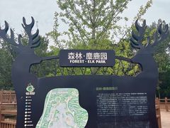 -日照海滨国家森林公园