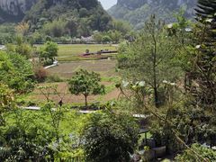 -靖西鹅泉风景区