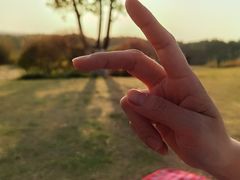 -仙海旅游度假区