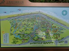 -上海滨江森林公园