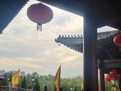 -大槐树寻根祭祖园