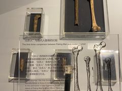 -北京周口店北京人遗址博物馆
