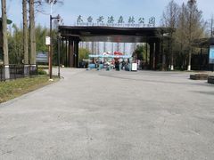 -黄海国家森林公园