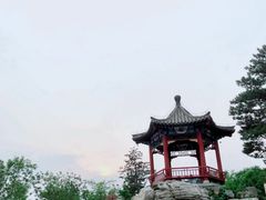 -大兴滨河森林公园