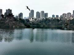 -重庆彩云湖湿地公园