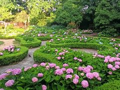 -上海共青森林公园