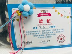 -纳吉亚猫专科动物诊疗中心(蒋宅口分院)