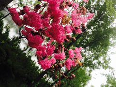 -北京宽沟会议中心