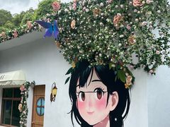 -东澳岛
