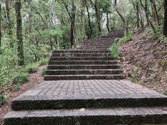 -紫金山天文台
