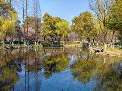 -范蠡湖公园