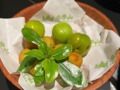-季季山·云南野生菌火锅(上海首店)