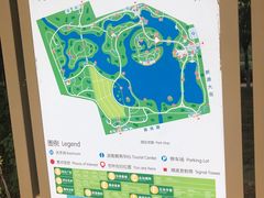 -大兴滨河森林公园