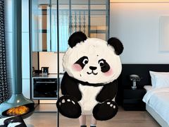 -亚善天籁S酒店(成都太古里旗舰店)