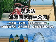 -日照海滨国家森林公园