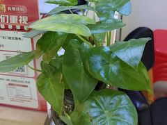 -郑远元专业修脚房(商乐店)