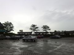 -大湾区中央湿地公园