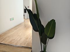 -极简口腔(总院)