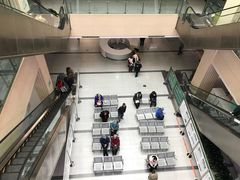 -山东大学齐鲁医院(青岛院区)