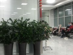 -上海中医药大学附属曙光医院(东部)